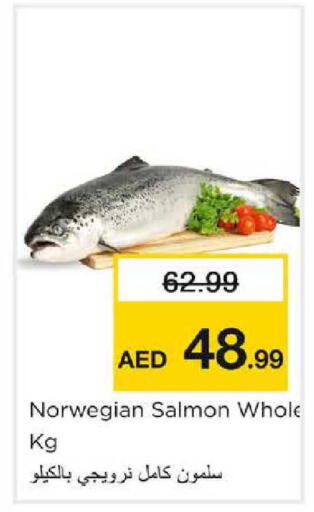 available at نستو هايبرماركت in الإمارات العربية المتحدة , الامارات - الشارقة / عجمان