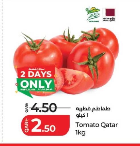 Tomato from Qatar available at لولو هايبرماركت in قطر - الدوحة
