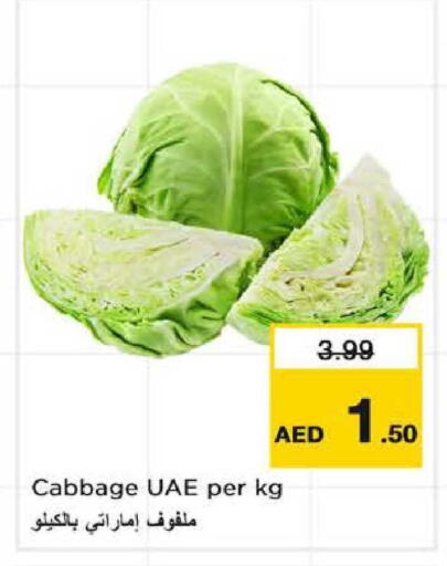 Cabbage available at نستو هايبرماركت in الإمارات العربية المتحدة , الامارات - الشارقة / عجمان