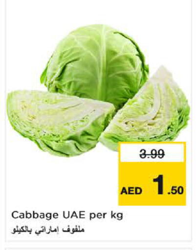 Cabbage available at لاست تشانس in الإمارات العربية المتحدة , الامارات - ٱلْفُجَيْرَة‎