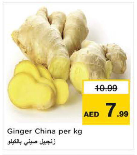 Ginger from China available at لاست تشانس in الإمارات العربية المتحدة , الامارات - ٱلْفُجَيْرَة‎