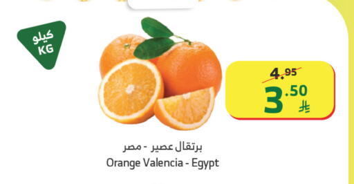 Orange from Egypt available at Al Raya in KSA, Saudi Arabia, Saudi - Medina
