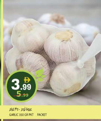 Garlic available at Hashim Hypermarket in UAE - Sharjah / Ajman