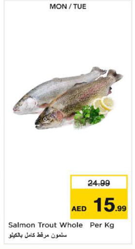 available at نستو هايبرماركت in الإمارات العربية المتحدة , الامارات - ٱلْفُجَيْرَة‎