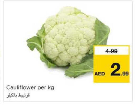 Cauliflower available at نستو هايبرماركت in الإمارات العربية المتحدة , الامارات - دبي