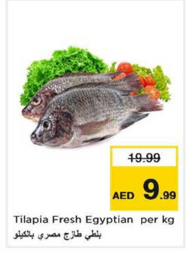 available at نستو هايبرماركت in الإمارات العربية المتحدة , الامارات - الشارقة / عجمان