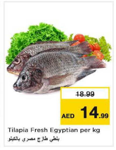 available at نستو هايبرماركت in الإمارات العربية المتحدة , الامارات - دبي