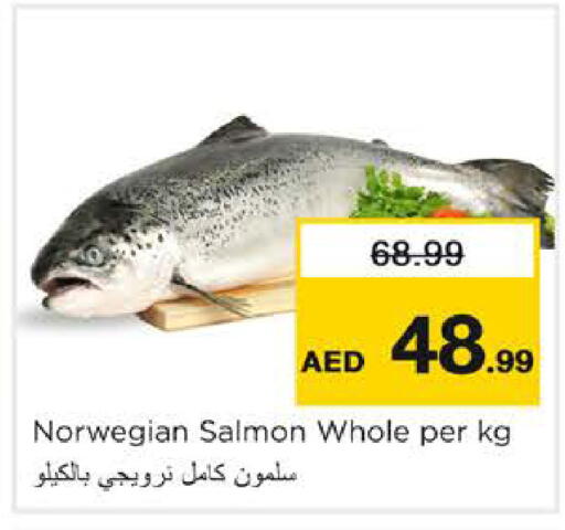 available at نستو هايبرماركت in الإمارات العربية المتحدة , الامارات - الشارقة / عجمان