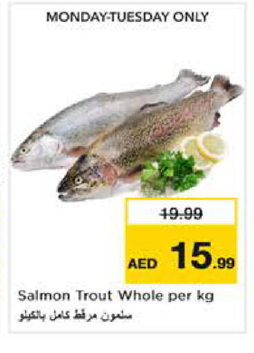 available at نستو هايبرماركت in الإمارات العربية المتحدة , الامارات - أبو ظبي