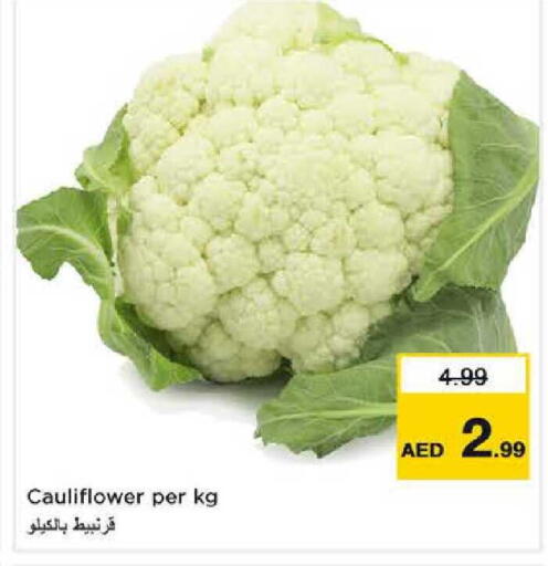 Cauliflower available at نستو هايبرماركت in الإمارات العربية المتحدة , الامارات - الشارقة / عجمان