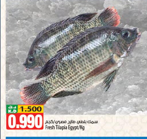 Mango available at Mango Hypermarket  in Kuwait - Kuwait City