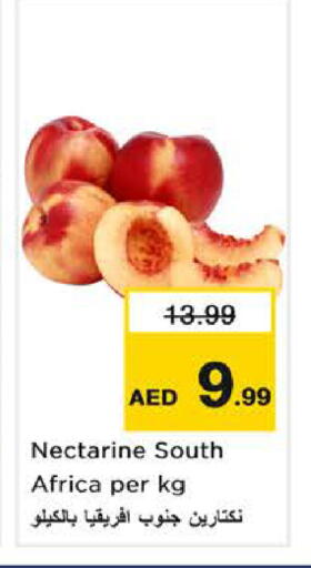 Nectarine from South Africa available at نستو هايبرماركت in الإمارات العربية المتحدة , الامارات - ٱلْفُجَيْرَة‎