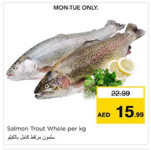 available at نستو هايبرماركت in الإمارات العربية المتحدة , الامارات - دبي