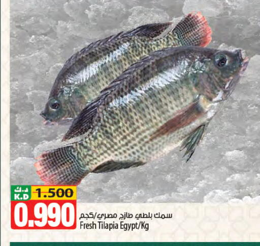 Mango available at مانجو هايبرماركت in الكويت - مدينة الكويت