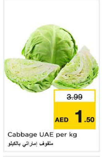 Cabbage available at نستو هايبرماركت in الإمارات العربية المتحدة , الامارات - ٱلْفُجَيْرَة‎