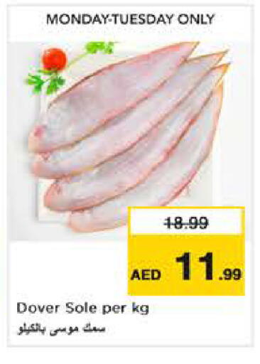 available at نستو هايبرماركت in الإمارات العربية المتحدة , الامارات - أبو ظبي