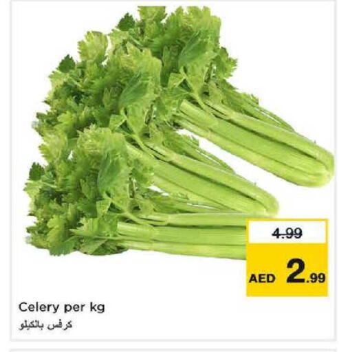 Celery available at نستو هايبرماركت in الإمارات العربية المتحدة , الامارات - الشارقة / عجمان