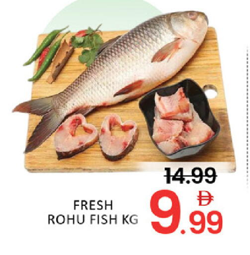 Mango available at Mango Hypermarket LLC in UAE - Dubai