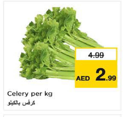 Celery available at لاست تشانس in الإمارات العربية المتحدة , الامارات - ٱلْفُجَيْرَة‎