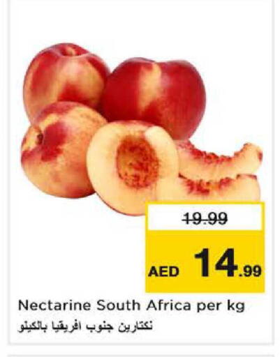 Nectarine from South Africa available at نستو هايبرماركت in الإمارات العربية المتحدة , الامارات - دبي