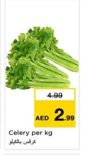 Celery available at نستو هايبرماركت in الإمارات العربية المتحدة , الامارات - ٱلْفُجَيْرَة‎