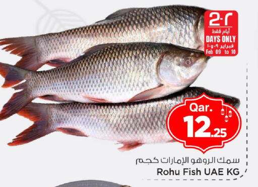 available at مارك & سيف in قطر - الريان