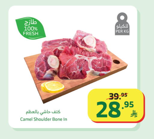available at Al Raya in KSA, Saudi Arabia, Saudi - Khamis Mushait