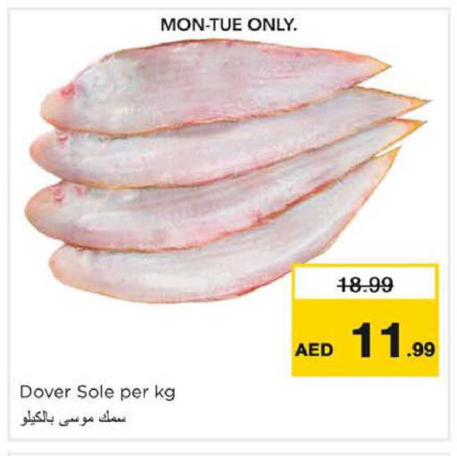 available at نستو هايبرماركت in الإمارات العربية المتحدة , الامارات - دبي