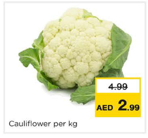 Cauliflower available at نستو هايبرماركت in الإمارات العربية المتحدة , الامارات - دبي