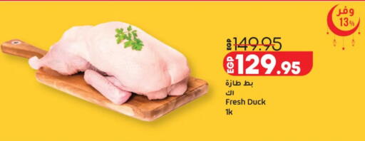 available at Lulu Hypermarket  in Egypt - Cairo