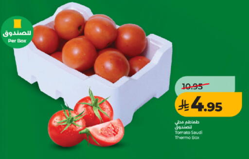 Tomato from Saudi Arabia available at LULU Hypermarket in KSA, Saudi Arabia, Saudi - Yanbu