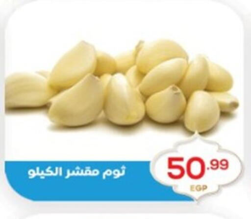 available at El mhallawy Sons in Egypt - Cairo