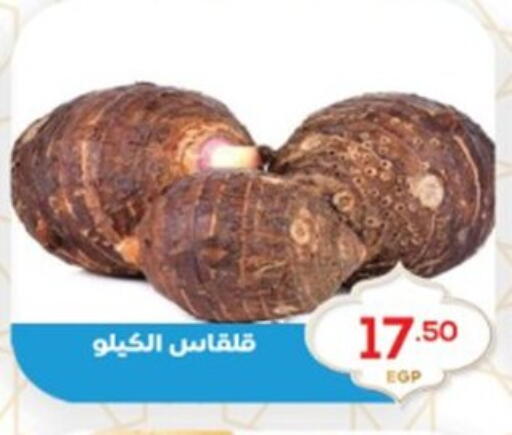 available at El mhallawy Sons in Egypt - Cairo