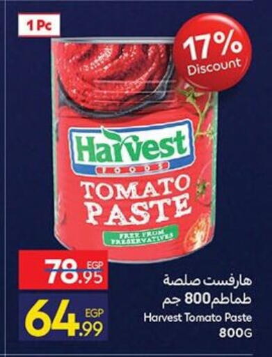 Tomato available at Carrefour  in Egypt - Cairo