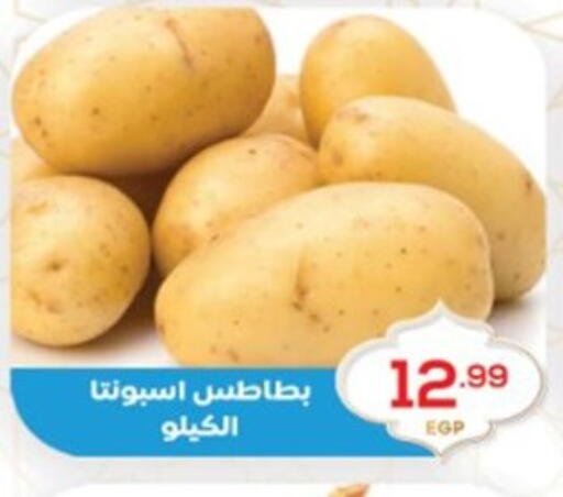 available at El mhallawy Sons in Egypt - Cairo