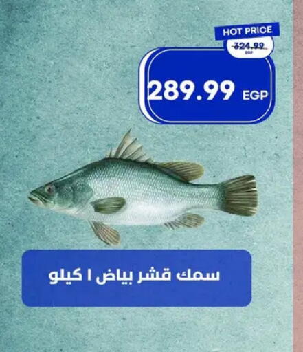 available at مترو ماركت in Egypt - القاهرة