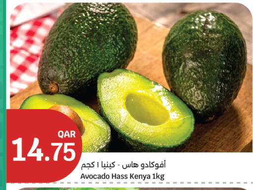 Avocado from Kenya available at City Hypermarket in Qatar - Doha