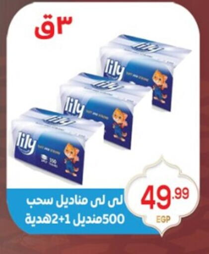 available at El mhallawy Sons in Egypt - Cairo