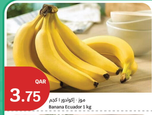 Banana from Ecuador available at سيتي هايبرماركت in قطر - الوكرة