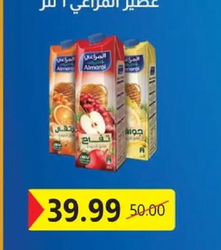 available at الحبيب ماركت in Egypt - القاهرة