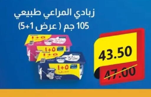 available at الحبيب ماركت in Egypt - القاهرة