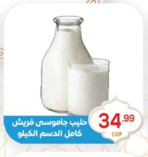 available at El mhallawy Sons in Egypt - Cairo