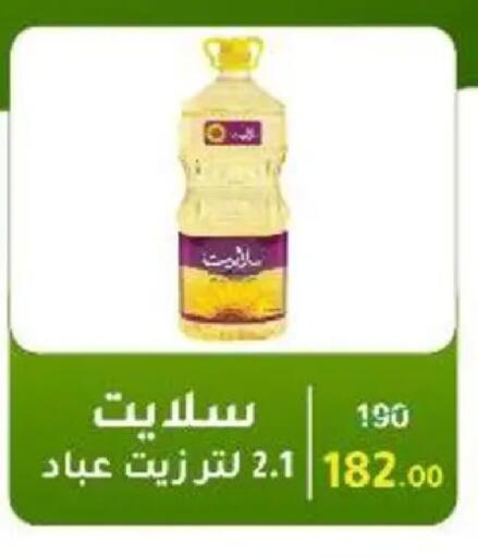available at وكالة المنصورة - الدقهلية‎ in Egypt - القاهرة