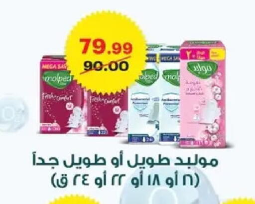 available at الحبيب ماركت in Egypt - القاهرة