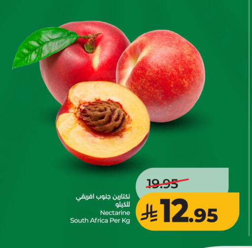 Nectarine from South Africa available at LULU Hypermarket in KSA, Saudi Arabia, Saudi - Al Khobar
