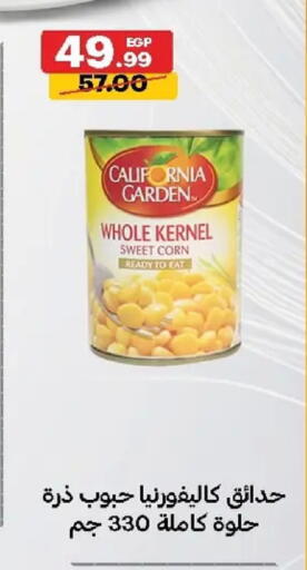 available at الحبيب ماركت in Egypt - القاهرة