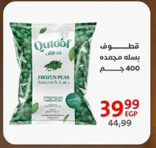 Peas available at داون تاون العرب  in Egypt - القاهرة