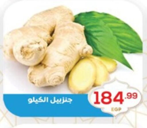 available at El mhallawy Sons in Egypt - Cairo