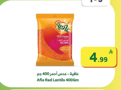 available at الراية in مملكة العربية السعودية, السعودية, سعودية - مكة المكرمة