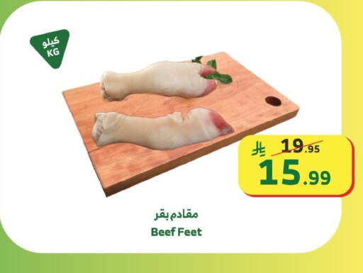 available at الراية in مملكة العربية السعودية, السعودية, سعودية - مكة المكرمة
